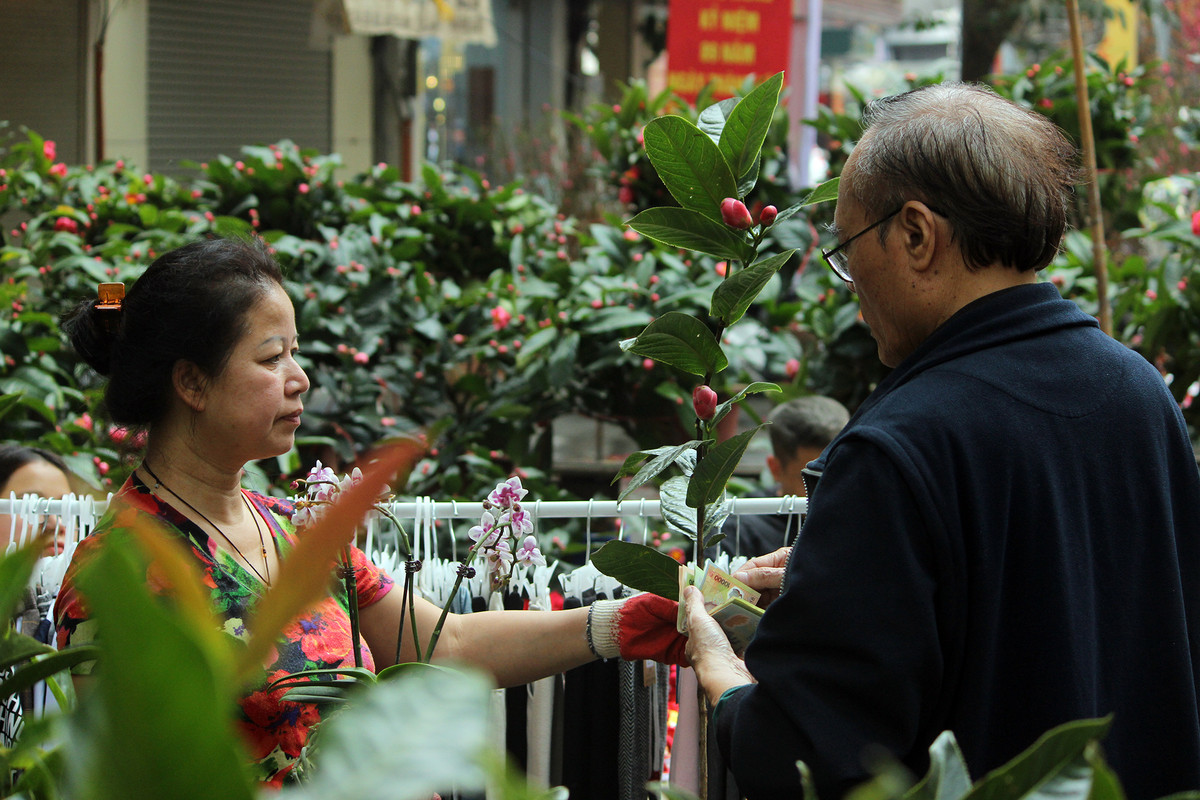 Những người đàn ông lớn tuổi cũng tranh thủ tìm đến phố chợ hoa Hàng Lược để mua cho mình chậu hoa cho ngày Tết sắp đến.