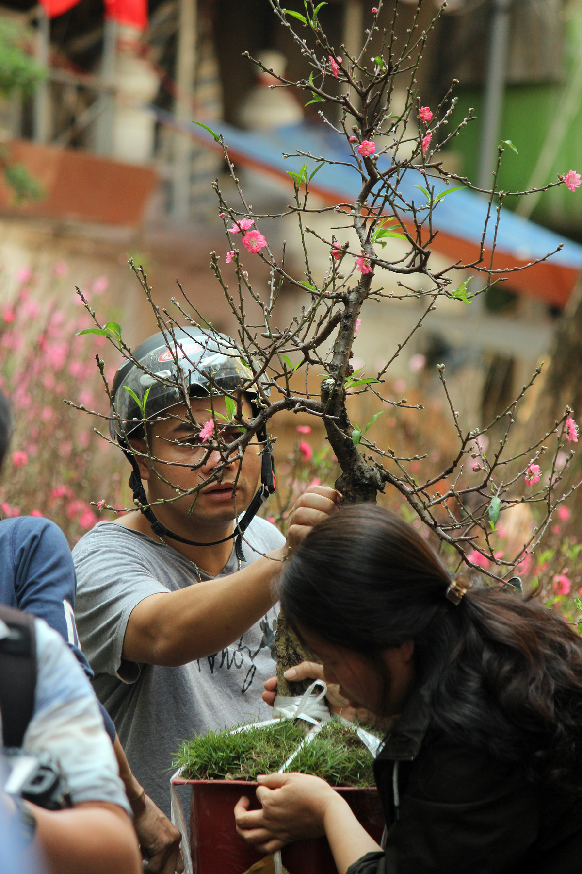 Nhiều người nói, chợ phiên Hàng Lược "kiêu kỳ lắm". Bởi lẽ, một năm chợ chỉ mở đúng một phiên duy nhất.