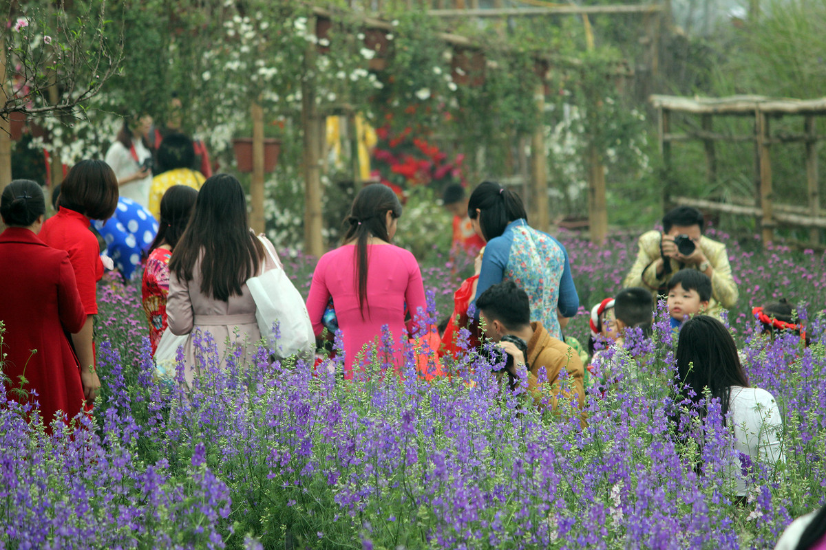 Do lượng người đến đây rất đông nên rất dễ dàng bắt gặp cảnh tượng chen chúc nhau chụp ảnh.