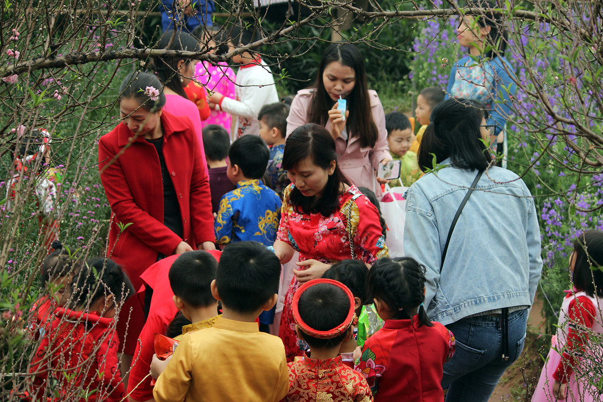 Nhiều em nhỏ cũng được người thân, trường lớp tổ chức đưa đến vườn hoa ở Nhật Tân để chụp ảnh Tết Nguyên đán.