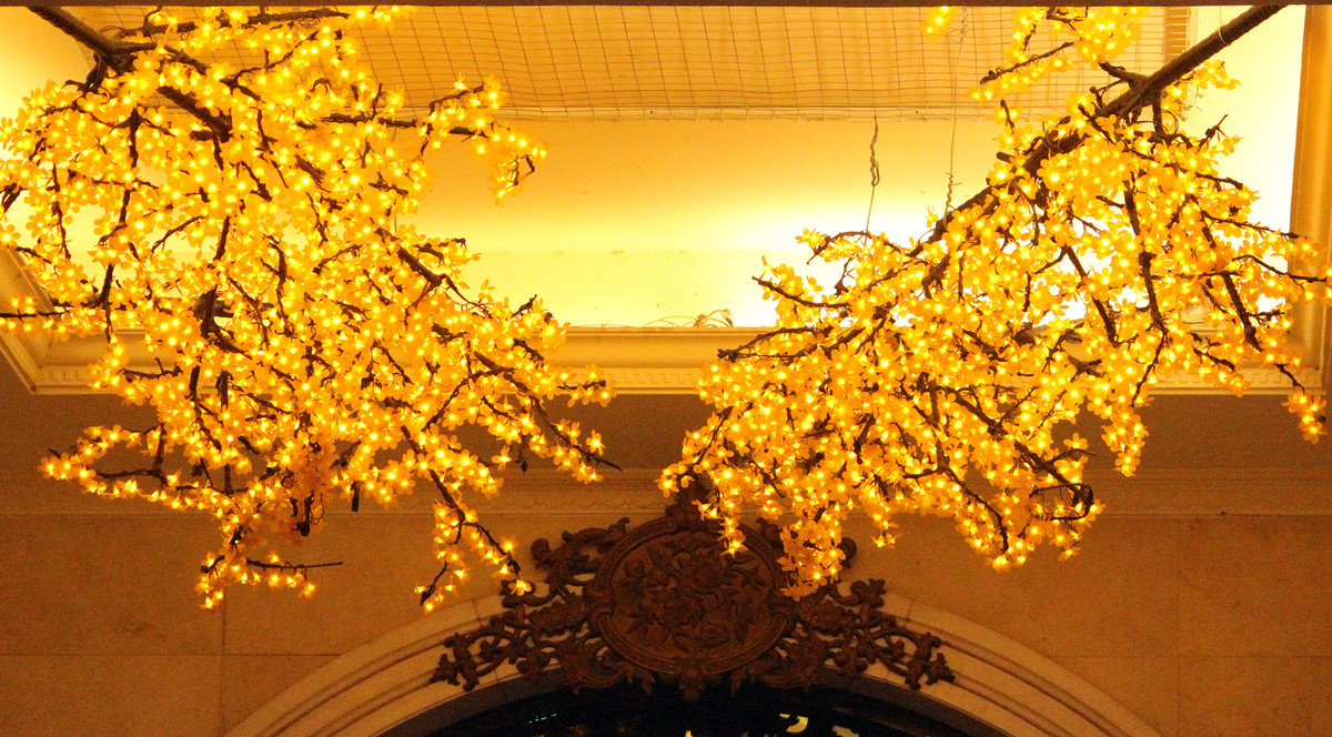 Cành mai vàng bằng ánh đèn phát sáng rực rỡ trong đêm.