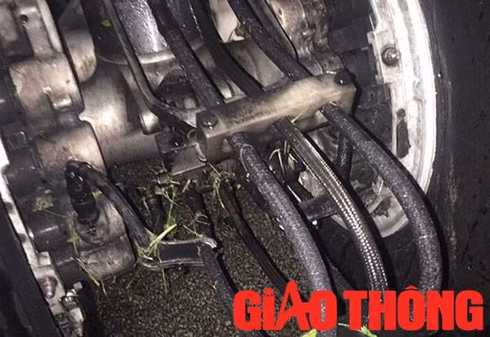 Sau sự cố, máy bay phải nằm lại trên đường băng nên toàn bộ các chuyến bay đến và đi từ sân bay Vinh không thể khai thác được. Hành khách được đưa ra khỏi máy bay và di chuyển vào nhà ga bằng xe bus. Sự cố nghiêm trọng đã khiến Cảng Hàng không này phải đóng cửa suốt 11 tiếng. Ảnh: Báo Giao Thông.