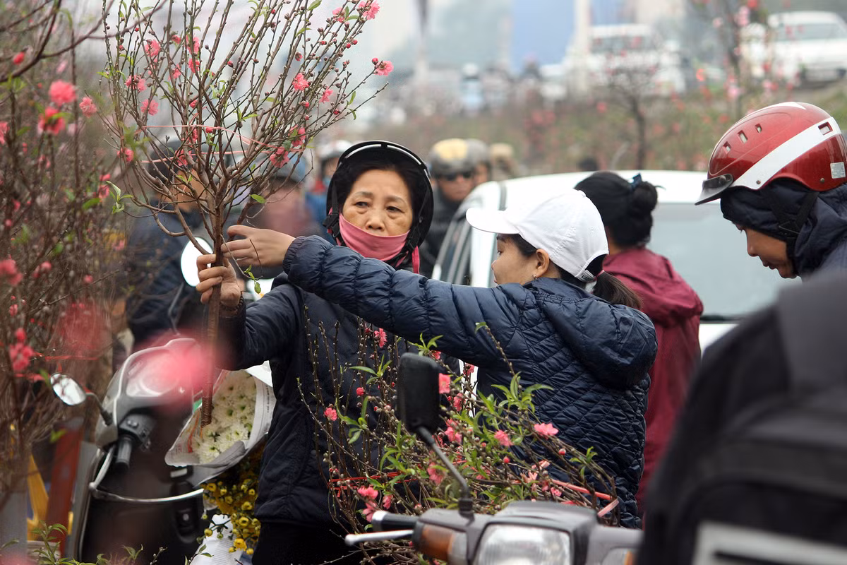 Nhiều người dân Thủ đô tìm đến chợ hoa Quảng An mua đào chơi Tết trong sáng nay.
