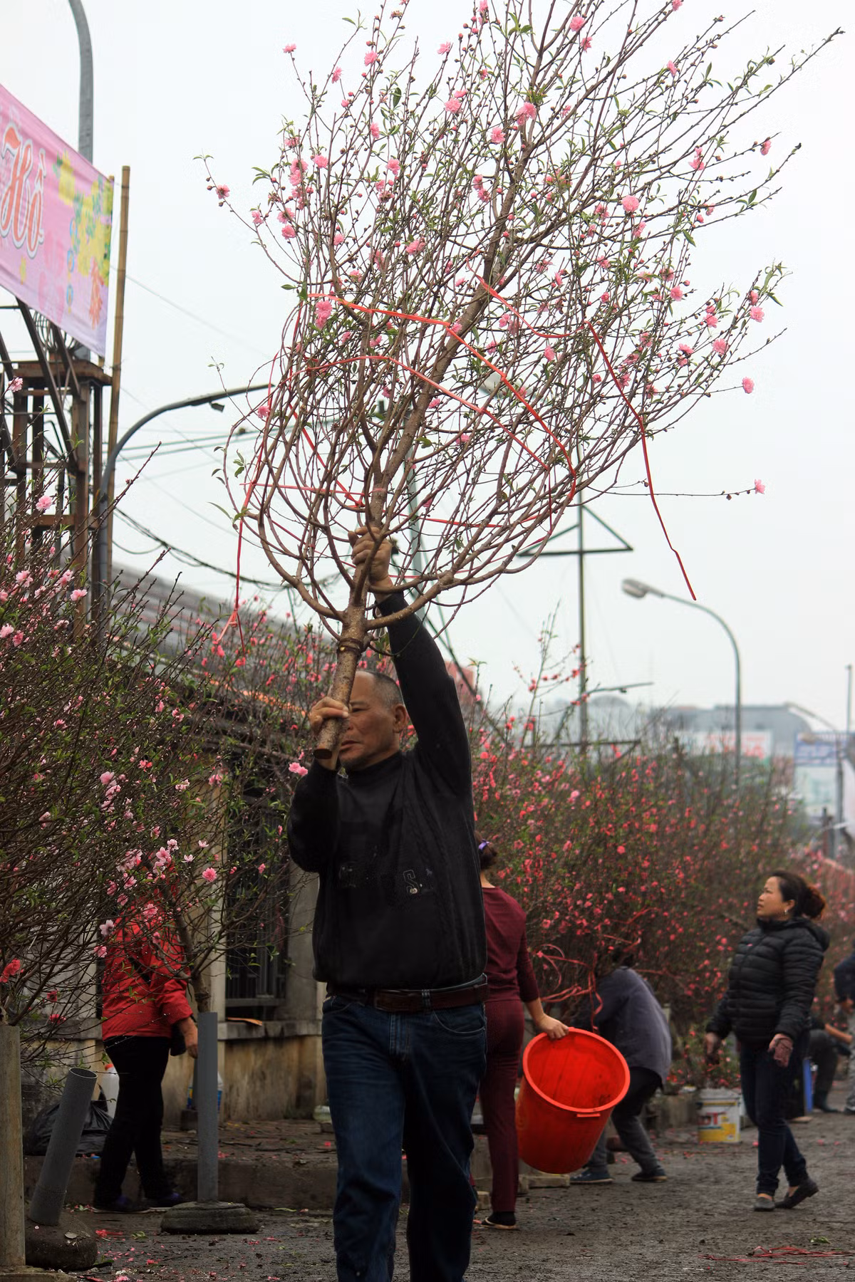 Đối với những cành đào có thế đẹp giá có thể lên tới tiền triệu.