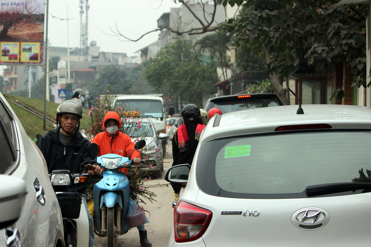 Con đường nhỏ dẫn đến chợ hoa Quảng An cũng thường xuyên ùn tắc.
