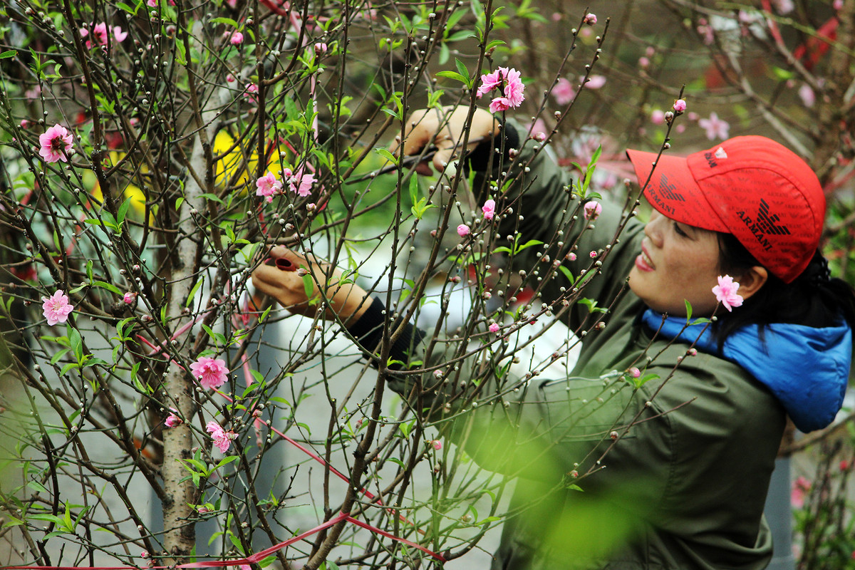 Dù chưa đến Tết Nguyên đán nhưng người dân đã đổ xô đến chợ Quảng An mua đào rất đông, điều này khiến các tiểu thương khá vui mừng.