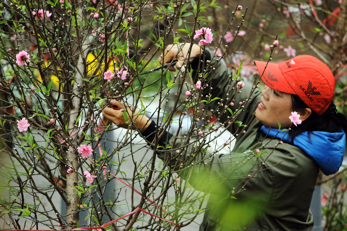Dù chưa đến Tết Nguyên đán nhưng người dân đã đổ xô đến chợ Quảng An mua đào rất đông, điều này khiến các tiểu thương khá vui mừng.
