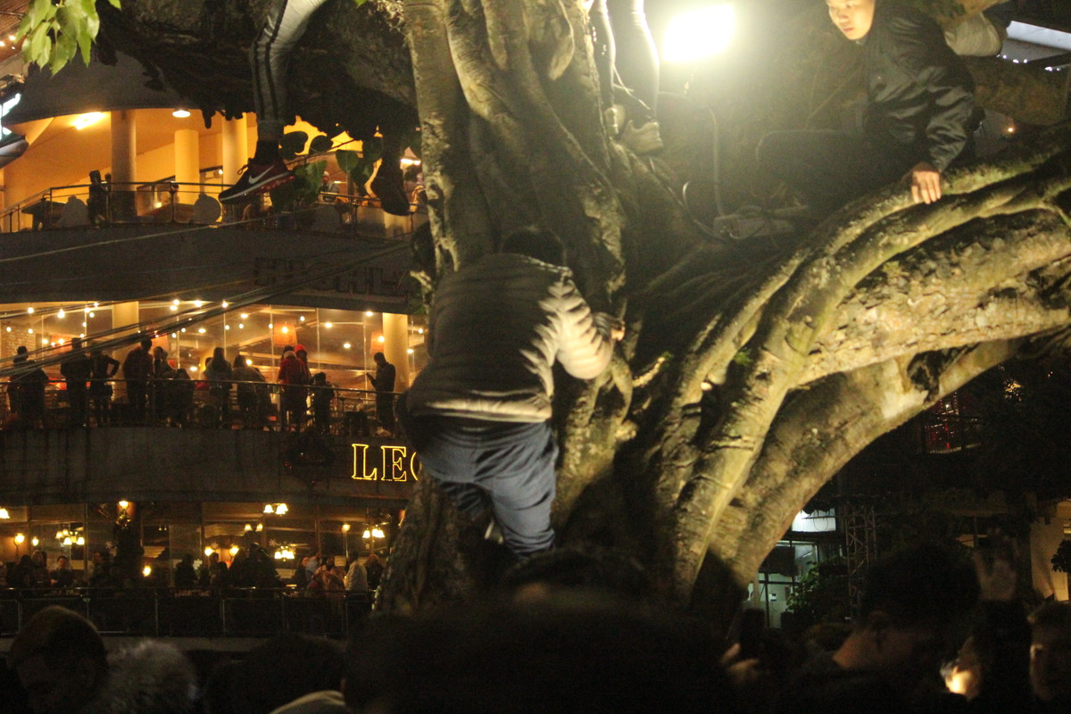 Phan cam canh “Tay” leo cay don nam moi o Ha Noi