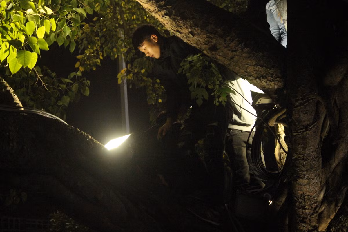 Nam thanh niên này nhanh chóng đu ra phía ngọn cành cây để tìm cho bản thân một chỗ đứng