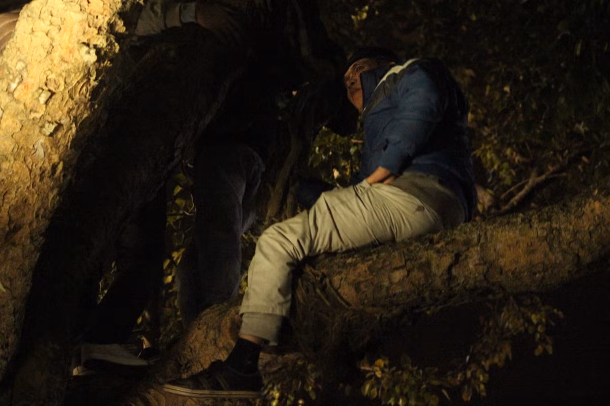 Một số người khác thì leo lên cao hơn để không phải chen chúc phía đưới.