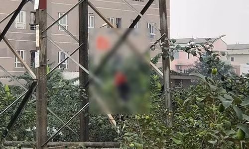 Kinh hoang thi the nguoi dan ong treo co, hai tay bi troi chat tren cot dien