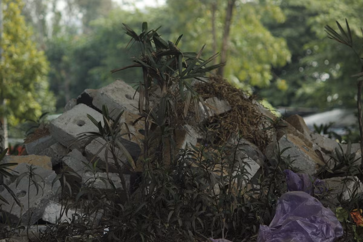 Vật liệu được đưa đến công trình phục vụ việc thi công đảm bảo đúng tiến độ.