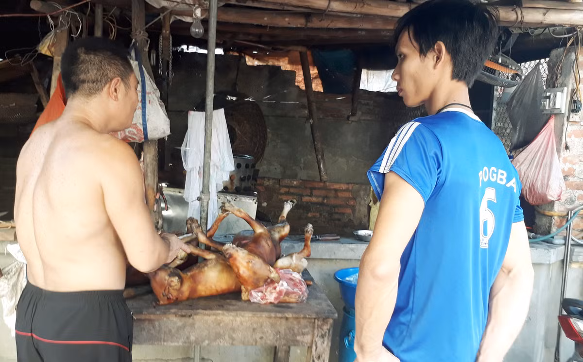 Chu lo mo cho lai bac trieu tiet lo nguyen nhan bo nghe