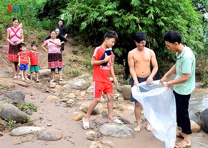 Van con canh hoc sinh chui tui nilon vuot suoi lu toi truong-Hinh-13