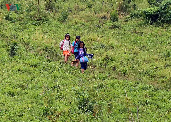 Van con canh hoc sinh chui tui nilon vuot suoi lu toi truong-Hinh-19