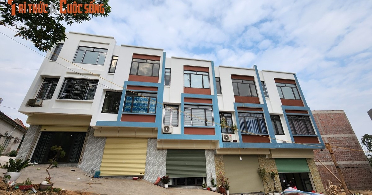 Quảng Ninh: Sau kỷ luật, Chủ tịch UBND phường Hà Khẩu được chuyển về đâu? Quang Ninh: Sau ky luat, Chu tich UBND phuong Ha Khau duoc chuyen ve dau?