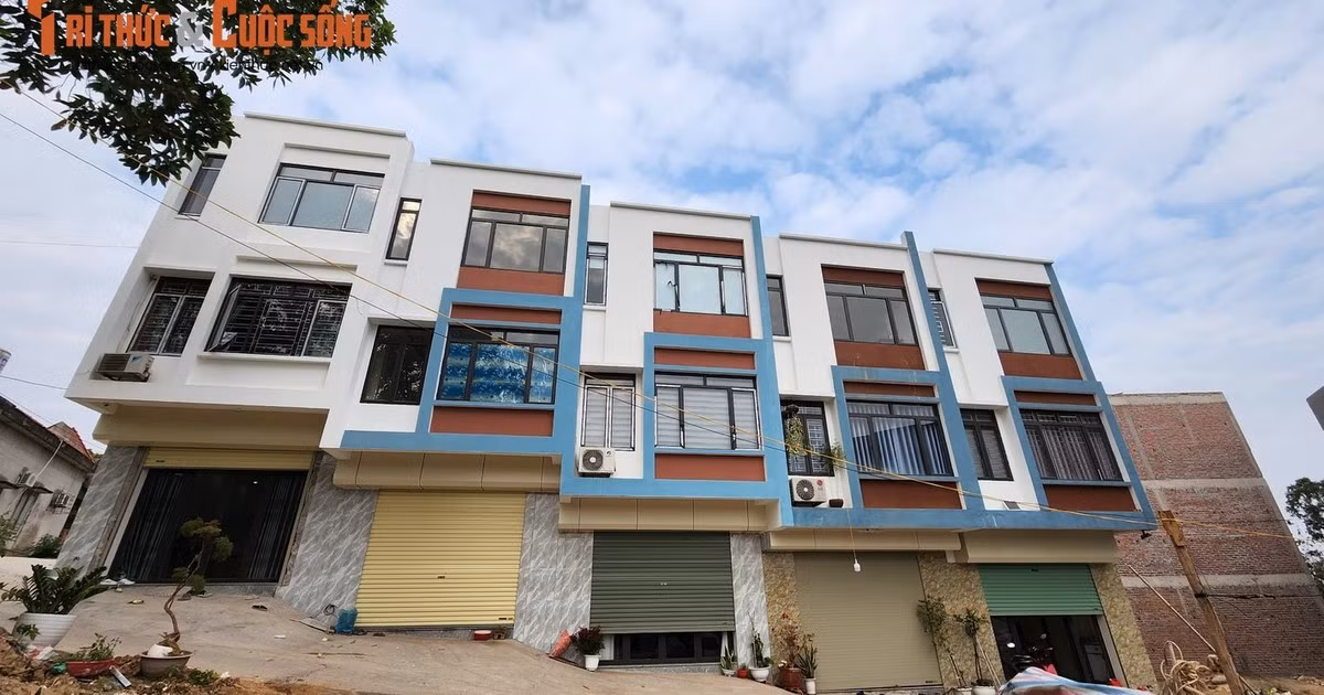 Quang Ninh: Sau ky luat, Chu tich UBND phuong Ha Khau duoc chuyen ve dau?