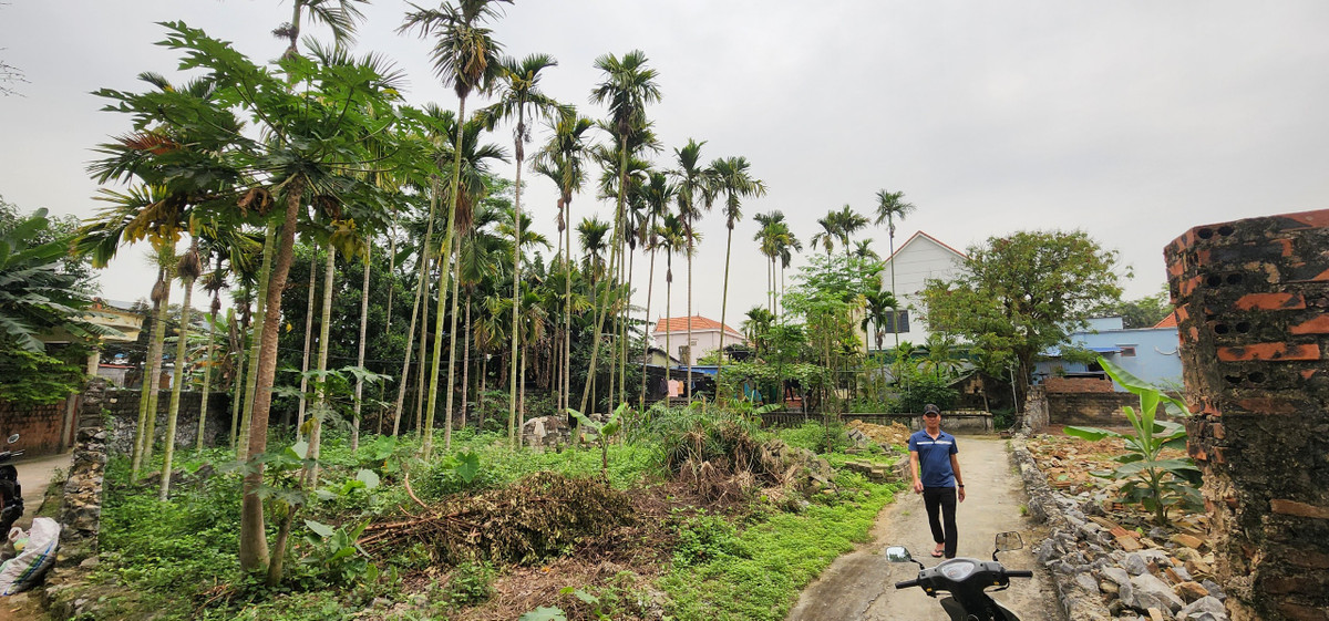 Giam doc VPDKDD ky chuyen nhuong dat dai trai phap luat: Trach nhiem cua So TN&MT Hai Phong?