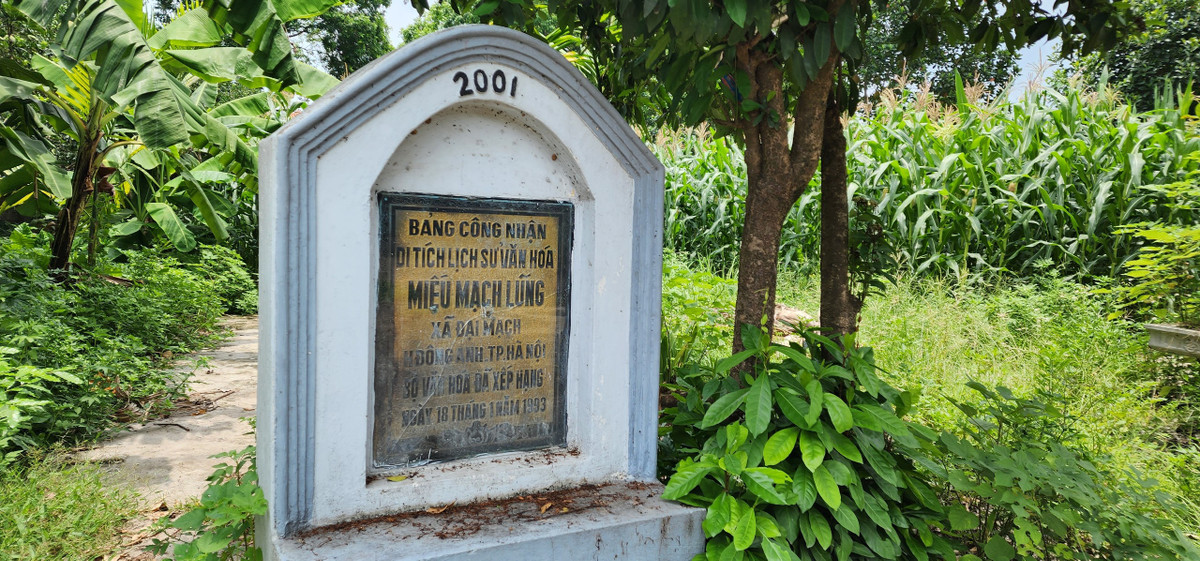 Với những giá trị về lịch sử, kiến trúc nghệ thuật, miếu Mạch Lũng được xếp hạng di tích lịch sử quốc gia năm 1993.