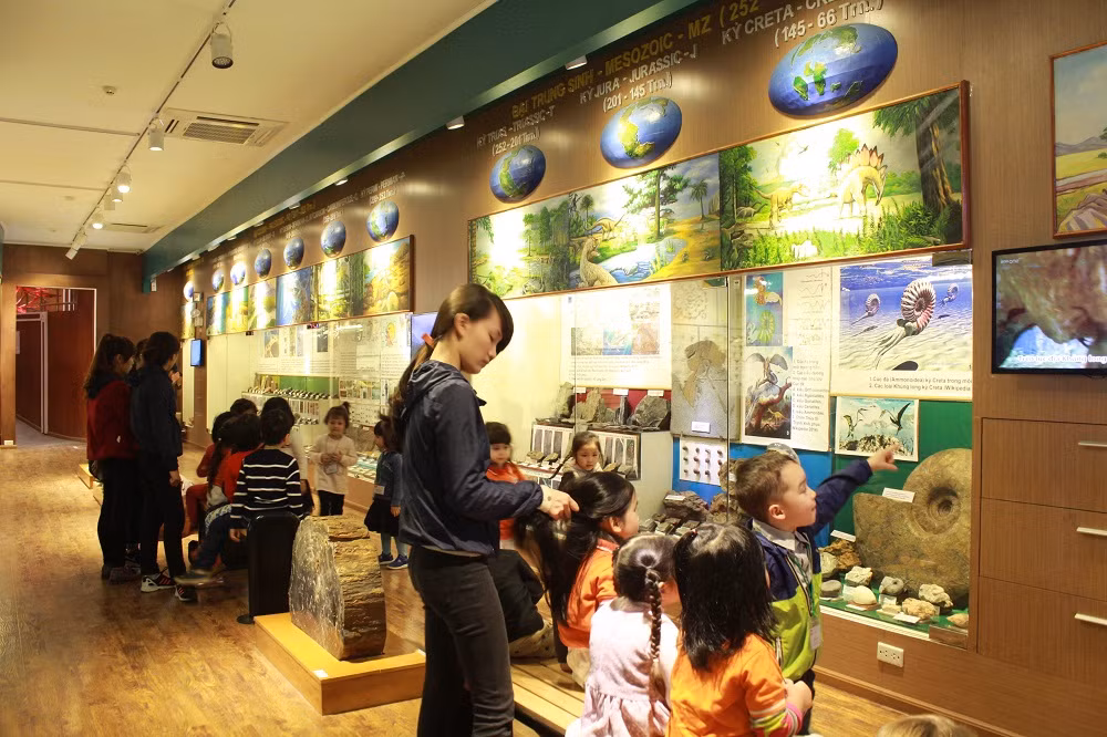 Can canh noi bao quan xac cu Rua ho Guom-Hinh-2