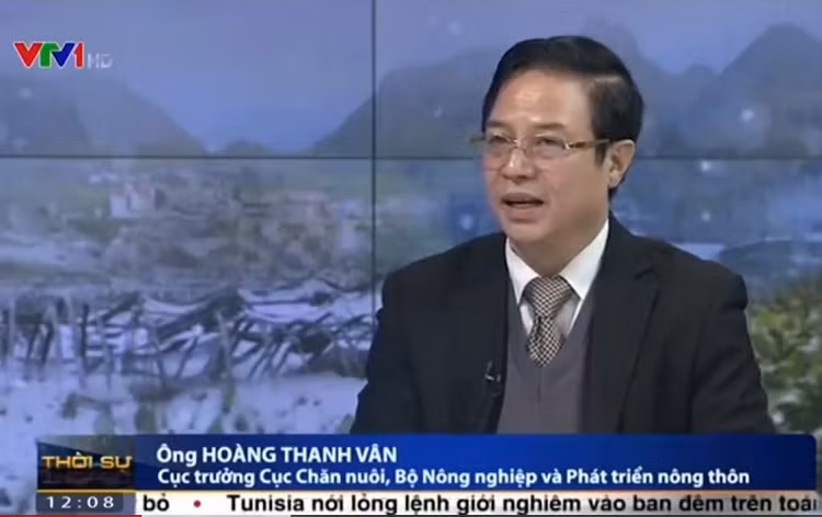 Ông Hoàng Thanh Vân, Cục trưởng Cục Chăn nuôi, Bộ Nông nghiệp và Phát triển Nông thôn, cho biết: “Hiện nay, Cục Chăn nuôi đang tiến hành tổng hợp tình hình gia súc chết do giá rét 2 giờ/lần và con số này vẫn tăng lên từng giờ. Ở 12 tỉnh, đến nay đã có 1.758 con trâu, bò, dê, cừu, ngựa bị chết, trong đó có 1.200 con trâu, bò." (Nguồn: VTV1)