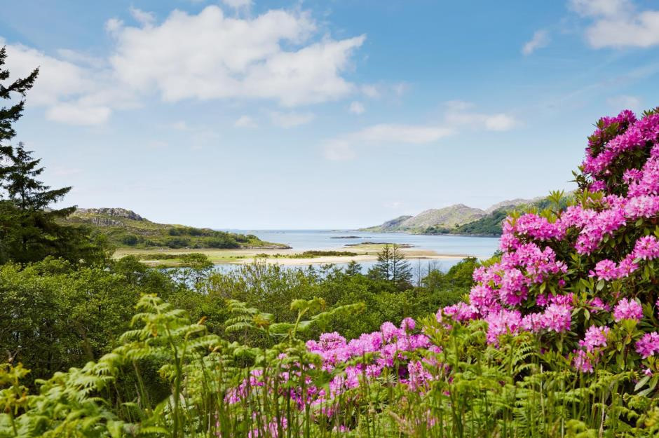 Neverland của Peter Pan: Eilean Shona, một đảo nhỏ ở bờ biển phía tây của Scotland, được cho là nguồn gốc của Neverland diệu kỳ. Đây là nơi JM Barrie, nhà viết kịch người Scotland nghỉ ngơi và viết kịch bản cho Peter Pan. Hiện nay, hòn đảo thuộc sở hữu của gia đình Devereux-Branson. Khi lang thang quanh hòn đảo này, du khách có thể tưởng tượng Jolly Roger của thuyền trưởng Hook thả neo trong những vịnh khổng lồ, những nàng tiên cá đang leo lên những tảng đá hay những nàng tiên đang bay trong khu rừng. Trên thực tế, dù không gặp những kỳ diệu như trong truyện, du khách vẫn có thể nhìn thấy nai đỏ, rái cá, cá heo, đại bàng biển và sóc đỏ. Ảnh: L Jones.