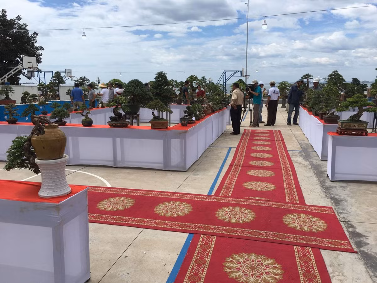 Hon 3.000 tac pham se tham gia Trien lam sinh vat canh tai Quy Nhon