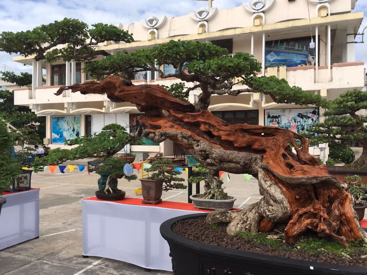 Hon 3.000 tac pham se tham gia Trien lam sinh vat canh tai Quy Nhon-Hinh-3