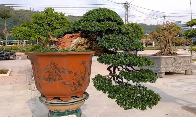 Hon 3.000 tac pham se tham gia Trien lam sinh vat canh tai Quy Nhon-Hinh-2