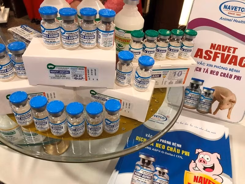 Vu heo chet hang loat sau tiem vac xin: NAVETCO ho tro the nao?