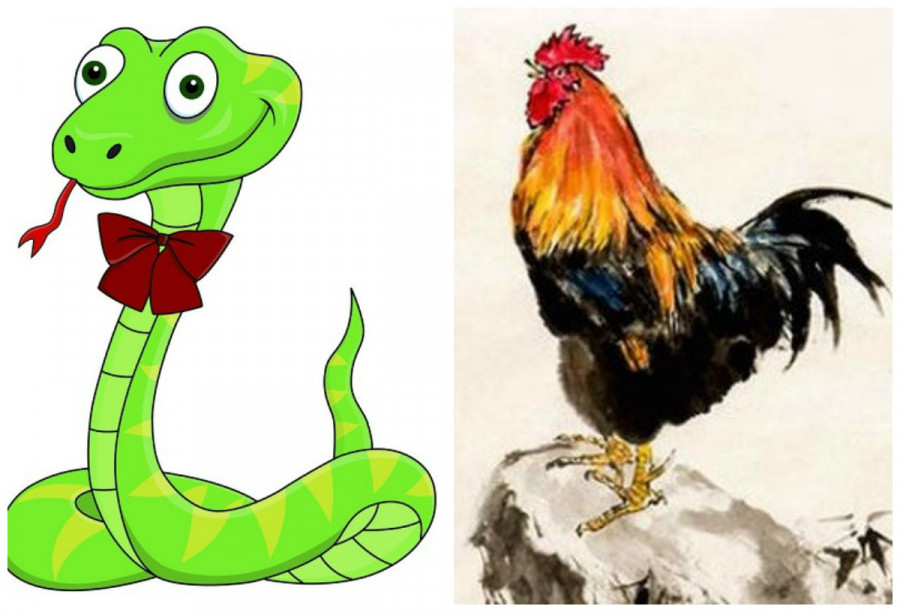 Tuổi Tỵ - Dậu: Người tuổi Tỵ và người tuổi Dậu khi kết đôi đây cũng là những con giáp kiệm lời, trầm tính nhưng có cá tính mạnh mẽ, kiên quyết trong cuộc sống. Họ đều là những con giáp chăm chỉ, chịu thương chịu khó nên trong cuộc sống họ dễ dàng kết hợp để làm ăn và tích lũy được một số tiền kha khá.