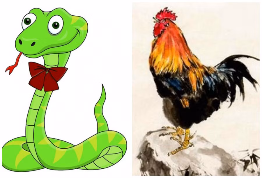 Tuổi Tỵ - Dậu: Người tuổi Tỵ và người tuổi Dậu khi kết đôi đây cũng là những con giáp kiệm lời, trầm tính nhưng có cá tính mạnh mẽ, kiên quyết trong cuộc sống. Họ đều là những con giáp chăm chỉ, chịu thương chịu khó nên trong cuộc sống họ dễ dàng kết hợp để làm ăn và tích lũy được một số tiền kha khá.