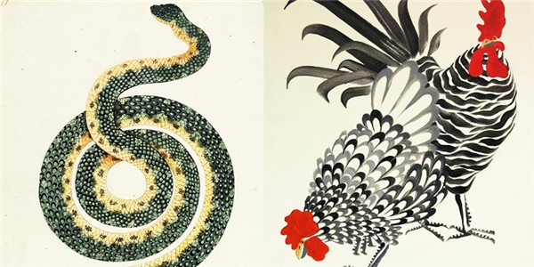 Tuy nhiên, hạn chế của hai con giáp này là khá cứng đầu khi họ quyết điều gì thì không ai có thể xoay chuyên được. Nhừng bù lại họ là người không để bụng nên dễ dàng tha thứ cho mọi lỗi lầm của đối phương.