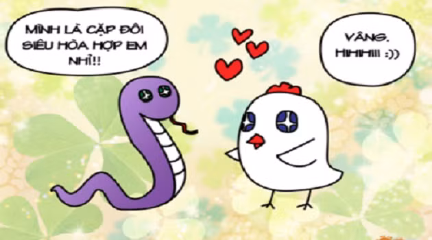 Trong cuộc sống lứa đôi tuổi Tỵ và tuổi Dậu sẽ là một cặp đôi sống được với nhau tới đầu bạc răng long viên mãn trọn đời.