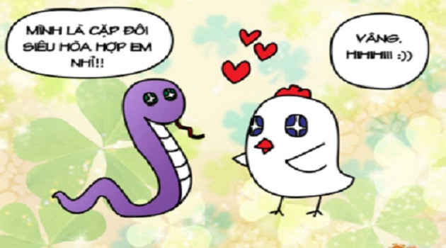 Trong cuộc sống lứa đôi tuổi Tỵ và tuổi Dậu sẽ là một cặp đôi sống được với nhau tới đầu bạc răng long viên mãn trọn đời.