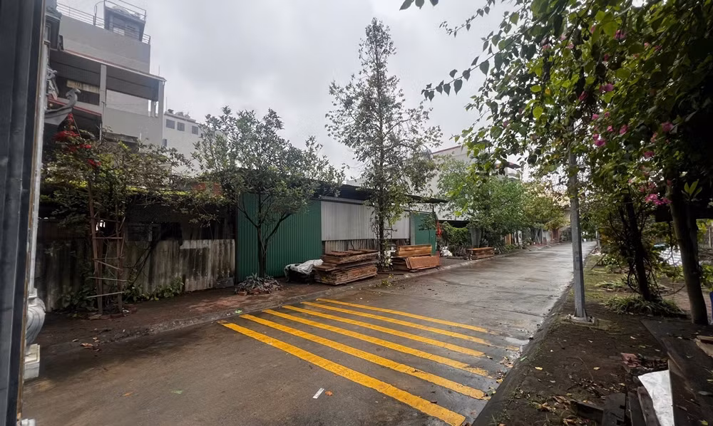 Xưởng gỗ lợp tôn lụp xụp, để gỗ tràn lan ra vỉa hè.