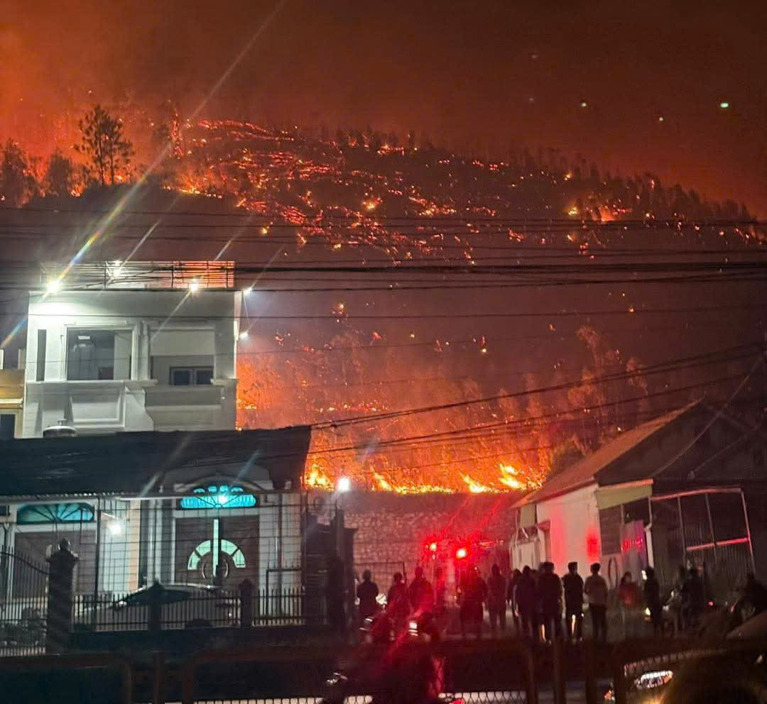 Quảng Ninh huy động hàng trăm người dập 2 vụ cháy rừng trong đêm - Hình 2 Quang Ninh huy dong hang tram nguoi dap 2 vu chay rung trong dem-Hinh-2