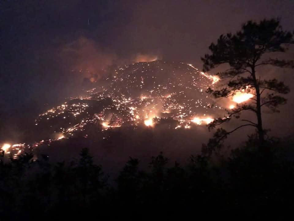 Quảng Ninh huy động hàng trăm người dập 2 vụ cháy rừng trong đêm Quang Ninh huy dong hang tram nguoi dap 2 vu chay rung trong dem
