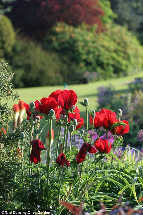 Được biết, khu vườn này do ông Harry Clive xây dựng để dành tặng vợ là bà Dorothy Clive.