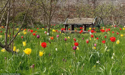 Vườn Physic với những bông hoa tulip đầy màu sắc rực rỡ.