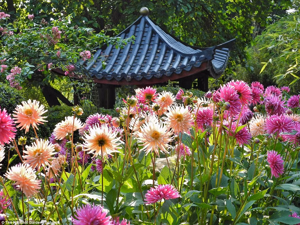 Khu vườn Beggars Knoll ở Wiltshire là một trong những khu vườn đẹp nhất nước Anh.