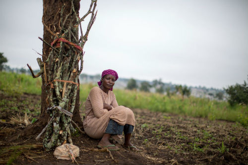 “Tôi sợ phải ra ngoài kiếm củi vì chúng có thể đánh đập tôi hoặc làm điều gì xấu với tôi”, cô Ester Bukuru, 35 tuổi, chia sẻ.