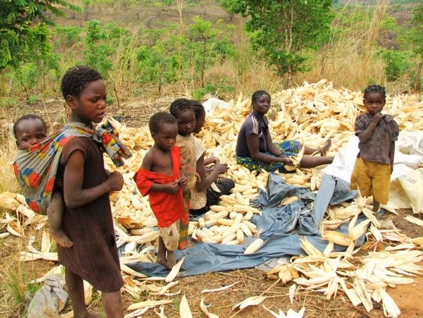 15 quoc gia co tuoi tho trung binh thap nhat the gioi-Hinh-6