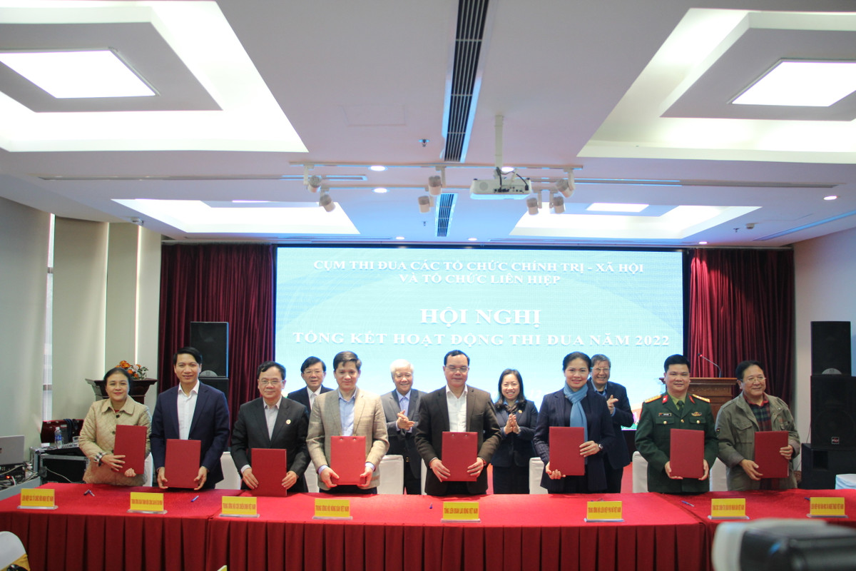 Day manh thi dua trong Cum cac to chuc chinh tri - xa hoi va to chuc Lien hiep-Hinh-3