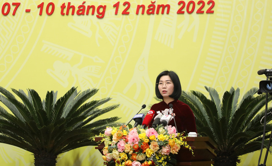 Toan canh khai mac ky hop thu X HDND thanh pho Ha Noi khoa XVI-Hinh-9