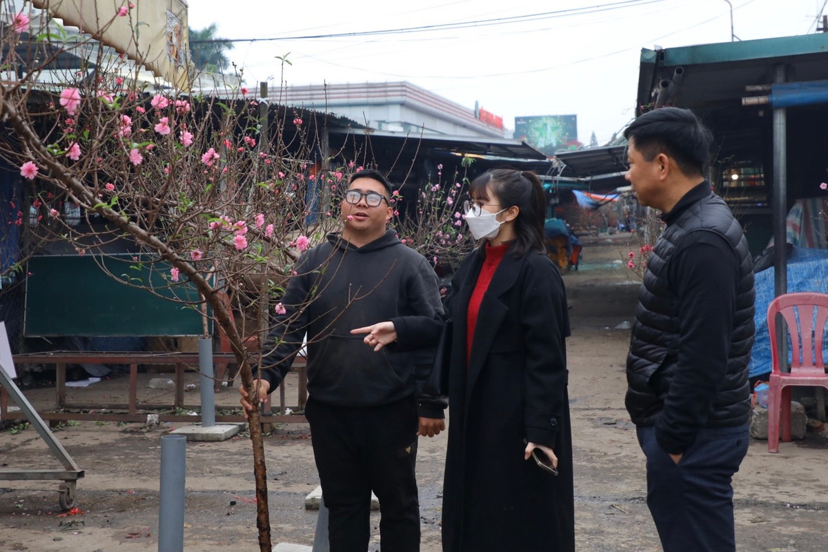 Anh Nguyễn Đức Thắng (tiểu thương tại chợ hoa Quảng An) cho biết: "Càng về cận ngày 30 thì lượng người mua càng tăng cao. Nhiều người có nhu cầu chơi đào cả Tết Dương lịch nên đã mua từ sớm."