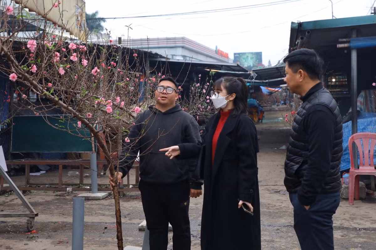 Anh Nguyễn Đức Thắng (tiểu thương tại chợ hoa Quảng An) cho biết: "Càng về cận ngày 30 thì lượng người mua càng tăng cao. Nhiều người có nhu cầu chơi đào cả Tết Dương lịch nên đã mua từ sớm."