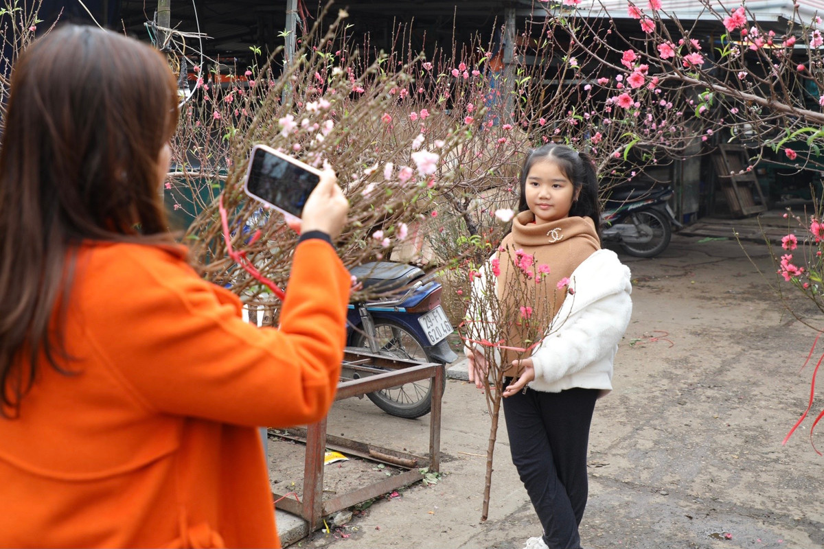 Hoa đào dường như là một món ăn tinh thần không thể thiếu đối với người Việt mỗi khi Tết đến xuân về.