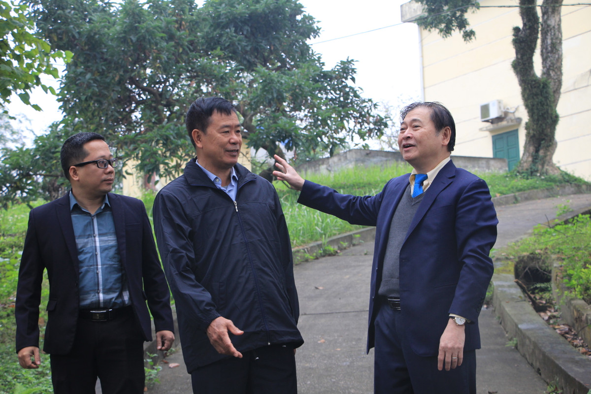 TSKH Phan Xuân Dũng đánh giá cao khả năng sáng tạo của Hội KHCN Chè Việt Nam với những nghiên cứu, tổng kết, phổ biến và áp dụng những thành tựu khoa học - công nghệ vào sản xuất nhằm tăng năng suất, nâng cao chất lượng, hiệu quả kinh tế- xã hội và phát triển bền vững ngành Chè.