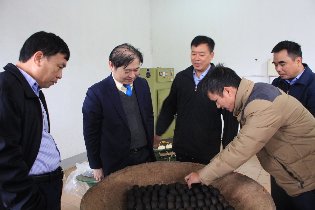 TSKH Phan Xuân Dũng tham quan và đánh giá sản phẩm độc đáo từ cây chè tại Trung tâm nghiên cứu &amp; phát triển Chè thuộc Viện KHKT Nông lâm nghiệp miền núi phía Bắc (NOMAFSI).